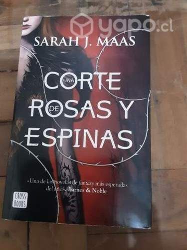 UNA CORTE DE ROSAS Y ESPINAS libro