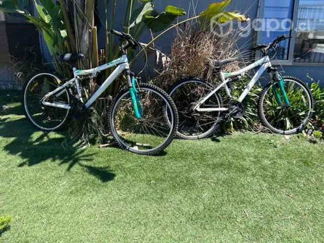 dos bicicletas Gama aro 26
