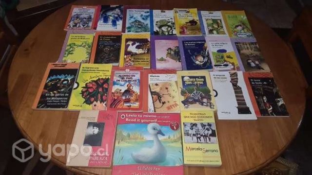 Lote de libros