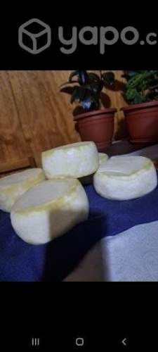 Queso de Campo