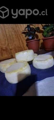 Queso de Campo