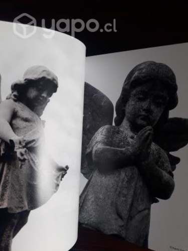 Ángeles / libro