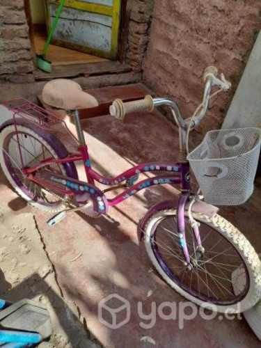 Bicicleta
