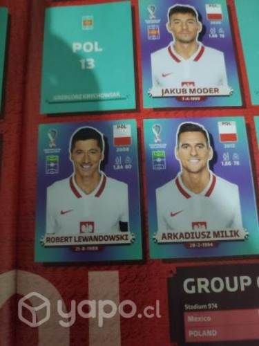 Album qtar 2022 tapa dura más 230 jugadores