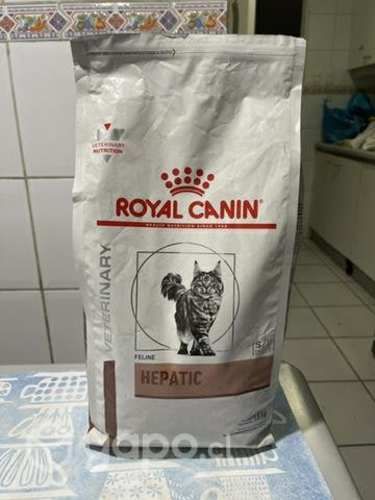 Royal Canin Hepatic Gatos