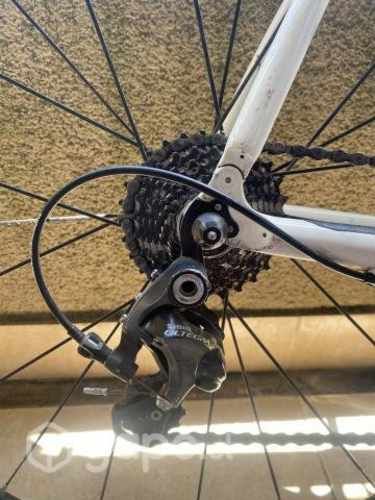 Bicicleta argón 18 ( carbono )