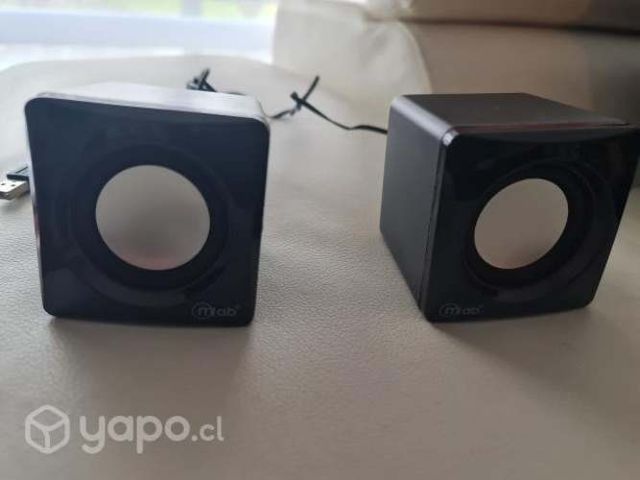 Parlante computador MICROLAB 2981