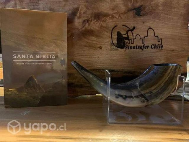 Santa Biblia más shofar carnero de regalo