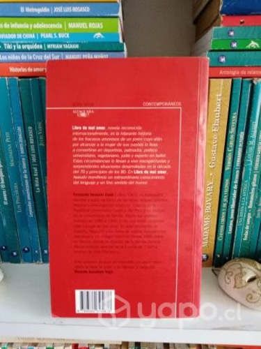El libro del mal amor