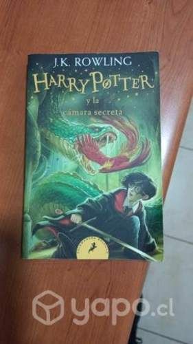 Libro Harry Potter