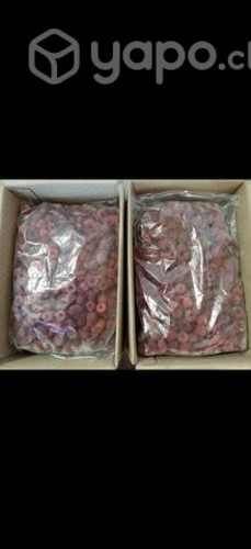 Frambuesas Heritage al por mayor