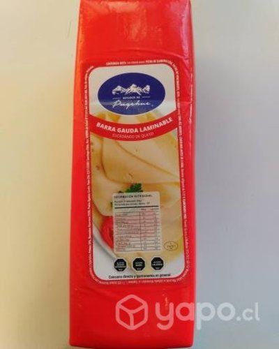 Queso gauda sucedáneo puyehue