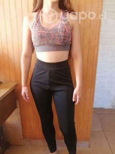 Conjunto deportivo