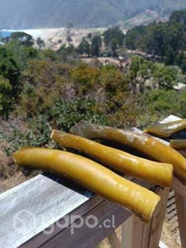 Ulte crudo y cocido.