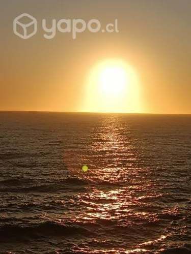 Ulte crudo y cocido.