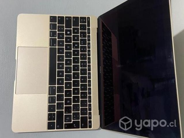 Apple, Macbook 8,1. 2015