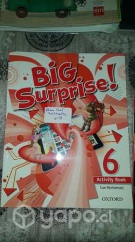 Textos escolares de 6to basico en buen estado