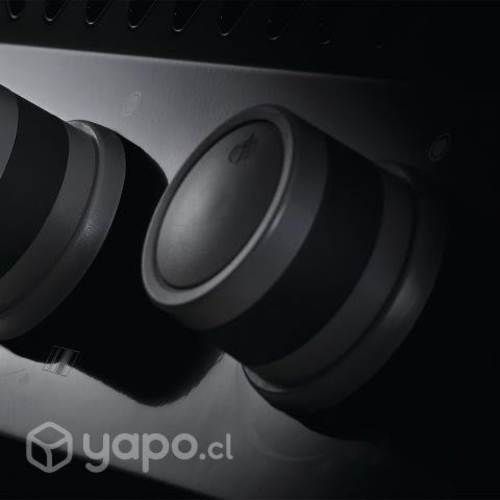 Parrilla Rogue 365 PK