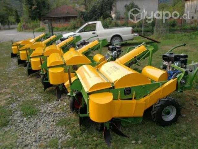 Maquina recolectora barredora de nueces avellanas