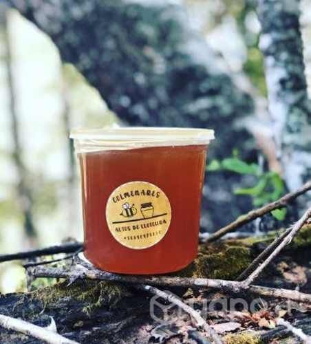 Miel de multifloral y de ulmo