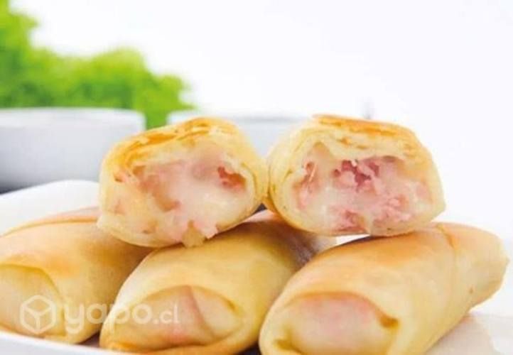 Arrollado primavera , jamon queso y wantan