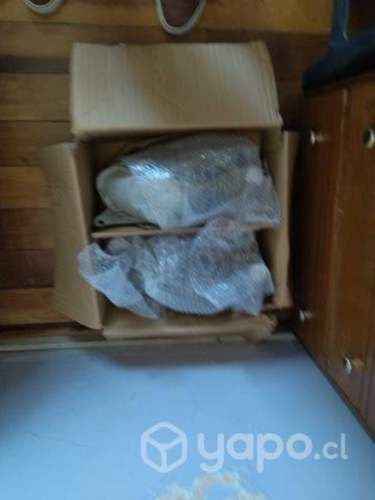 Faroles corsa y logos