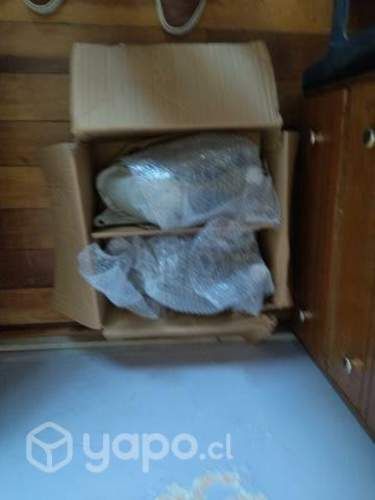 Faroles corsa y logos