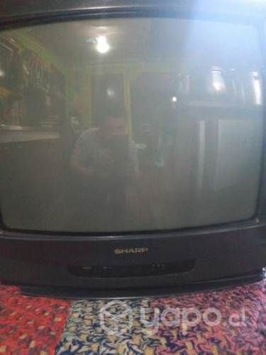televisor