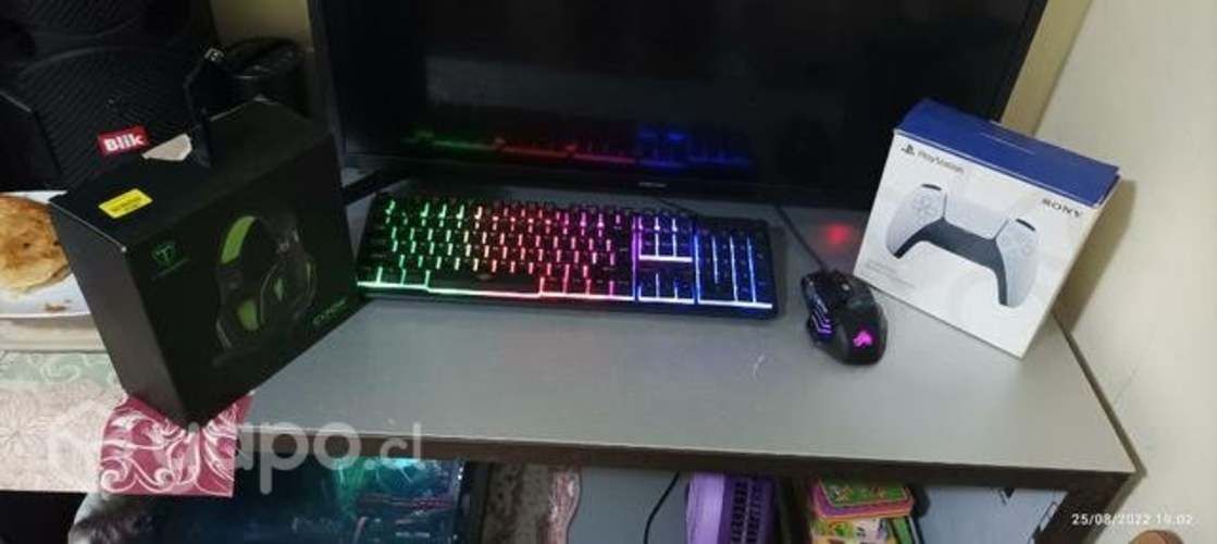 PC gamer