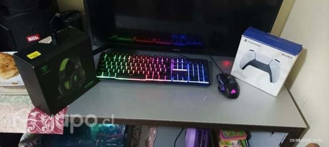 PC gamer
