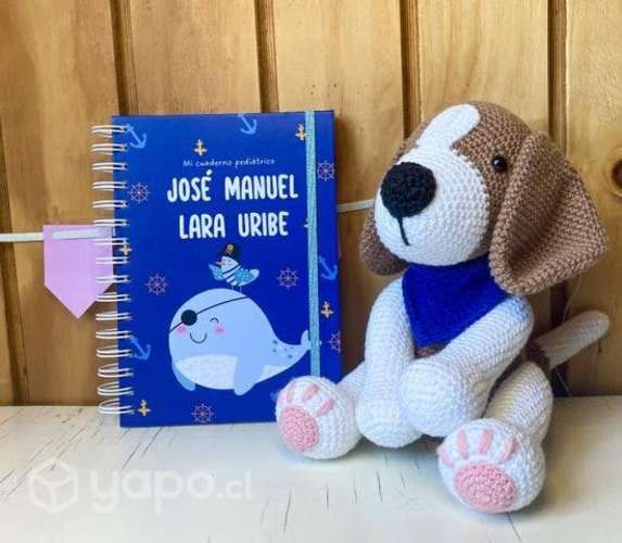 Cuadernos, planners, pediátricos personalizados