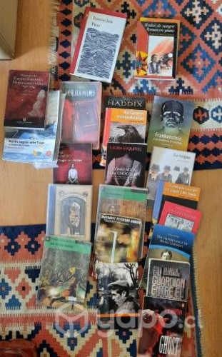 Libros de lectura de colegio