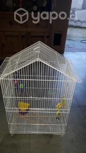 Jaula para aves