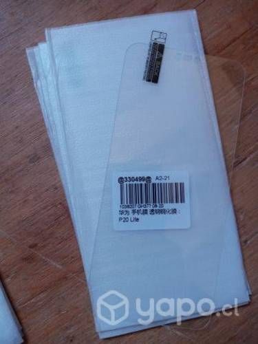 Laminas de vidrio + accesorios de limpieza