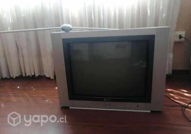 Televisor de 21 pulgadas