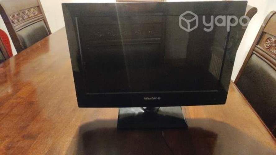 Monitor para PC 14 pulgadas Master G