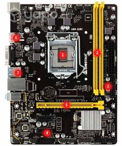 Placa madre Biostar H310MHC2