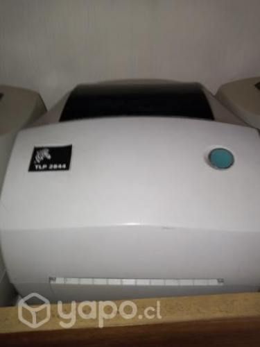 Impresira zebra para etiqueta tlp2844