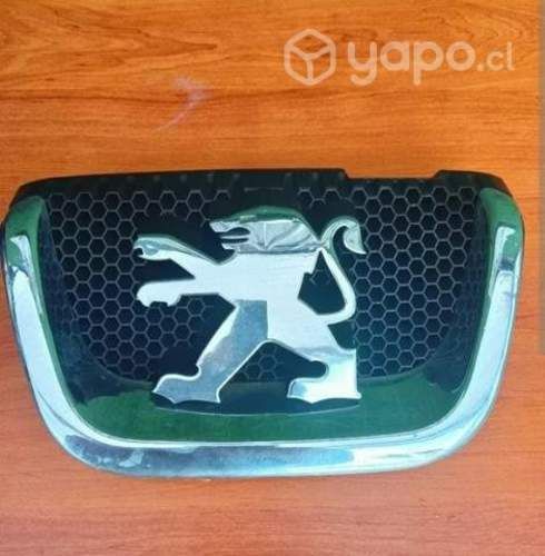 Insignia Peugeot 407