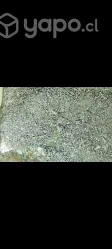 Meteorito Níquel, anómalo. Con líneas widmanstätte