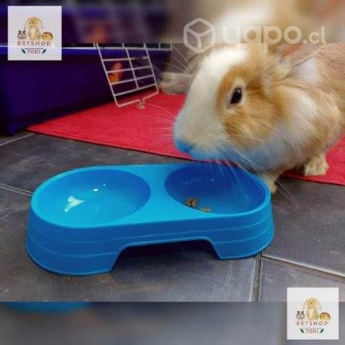 Plato doble de comida mascota