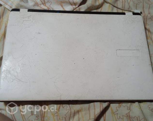 Notebook Acer Aspire pantalla mala