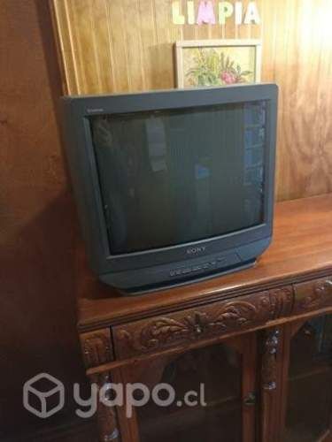 Televisor en excelente estado