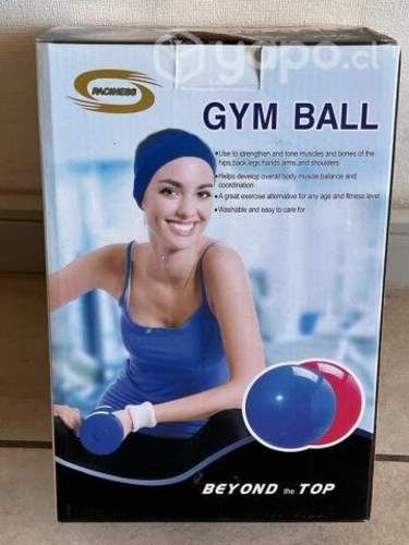Pelota de Gimnasio