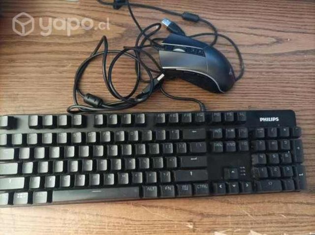 Teclado y mouse gamer
