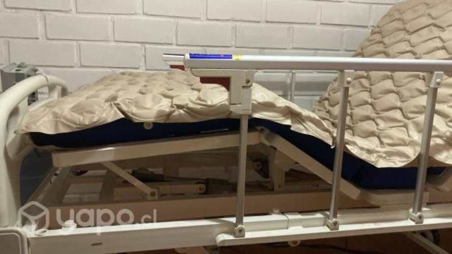 Cama clínica USADA