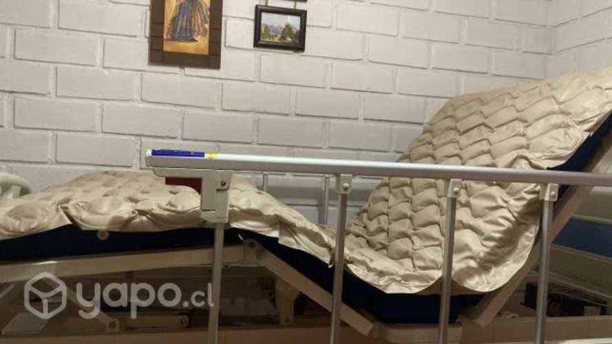 Cama clínica USADA