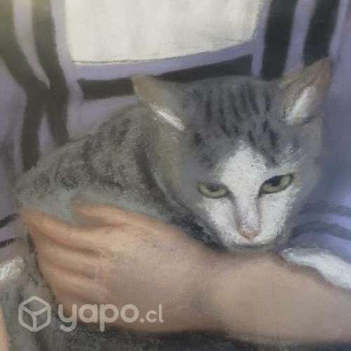 Cuadro tecnica mixta anónimo