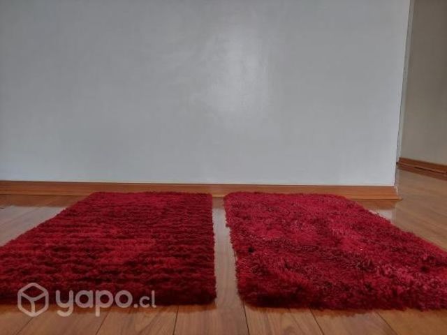 Alfombras rojas de gran calidad de pelo largo