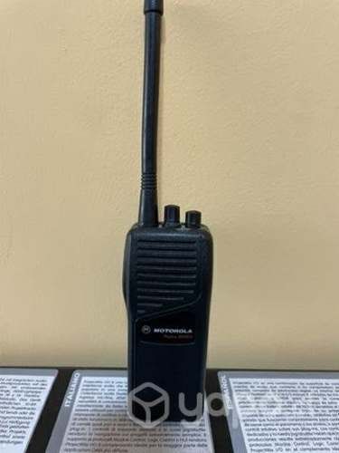 Handy Motorola GP350